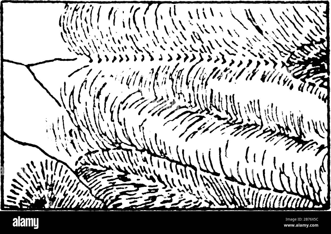 La cartografia che mostra linee di contorno che uniscono punti di uguale altezza al di sopra di un dato livello, per esempio una mappa topografica che illustra valli, colline e Illustrazione Vettoriale