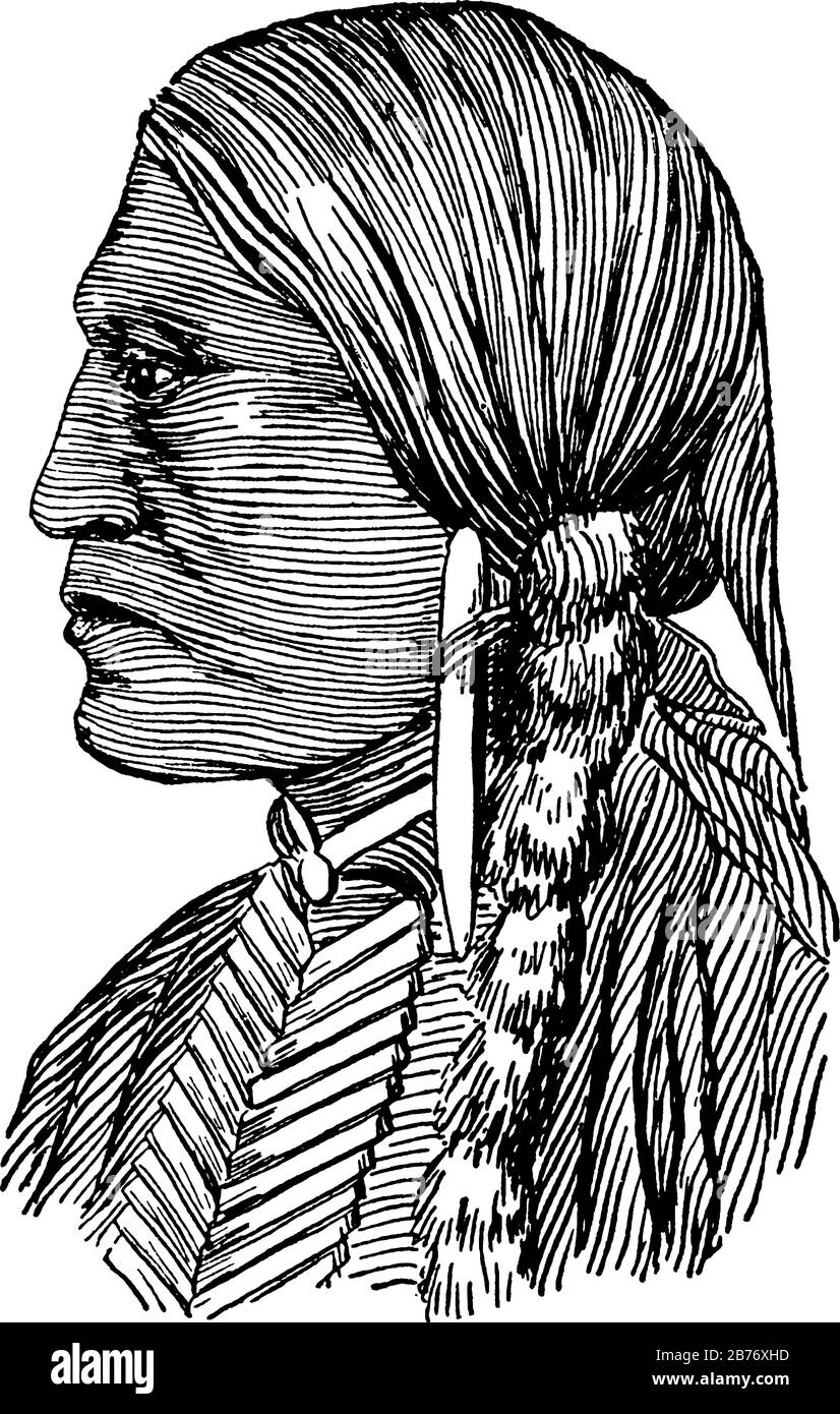 L'immagine raffigura un uomo della tribù dei nativi americani Apache con capelli intrecciati in linee piatte parallele, disegno di linee vintage o illustrazione dell'incisione Illustrazione Vettoriale