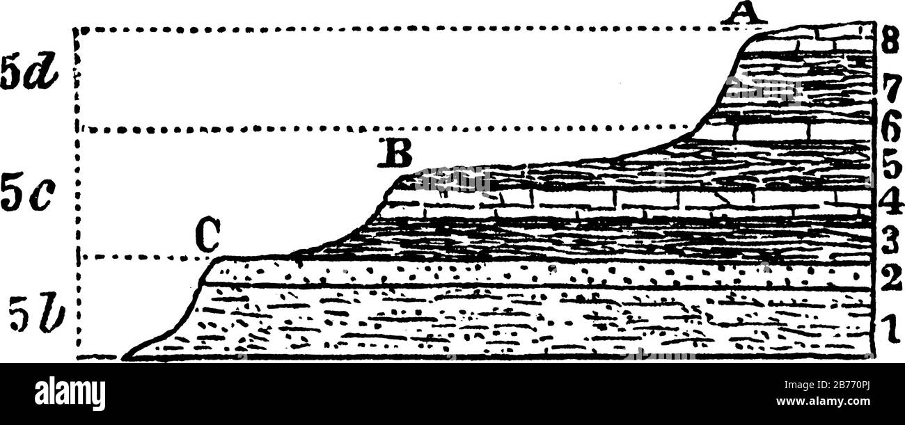 Le etichette sono: (1) arenaria, (2) banda grigia, (3) scisto verdastro, (4) calcare compatto, (5) scisto verdastro, (6) calcare, (7) scisto, (8) calcare., vin Illustrazione Vettoriale
