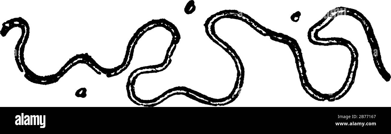 Una tipica rappresentazione di un piccolo torrente, di un ruscello e del suo corso di meandro, a, b e c, sono anse, disegni di linea d'annata o illustrazioni di incisione Illustrazione Vettoriale