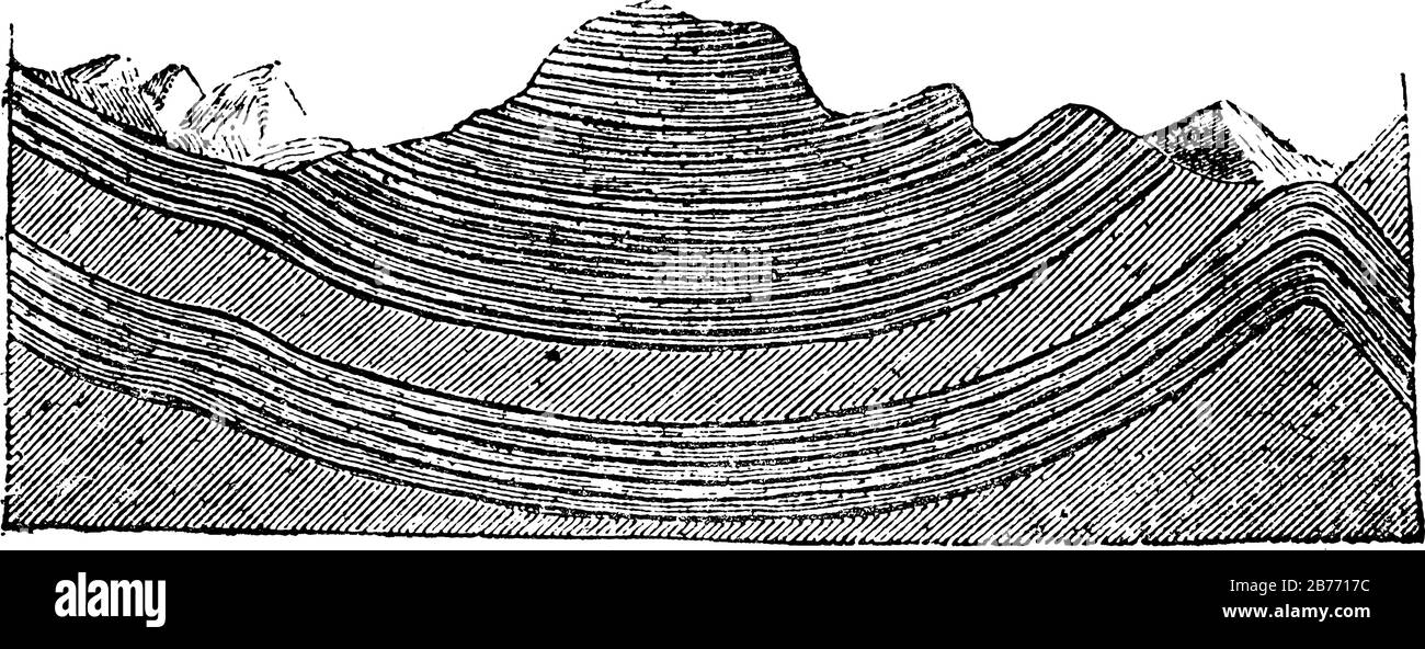 Una rappresentazione tipica degli strati sinclinali, una piega geologica verso il basso, uno strato di roccia o terreno sedimentario, disegno a linea d'annata o incisione illu Illustrazione Vettoriale