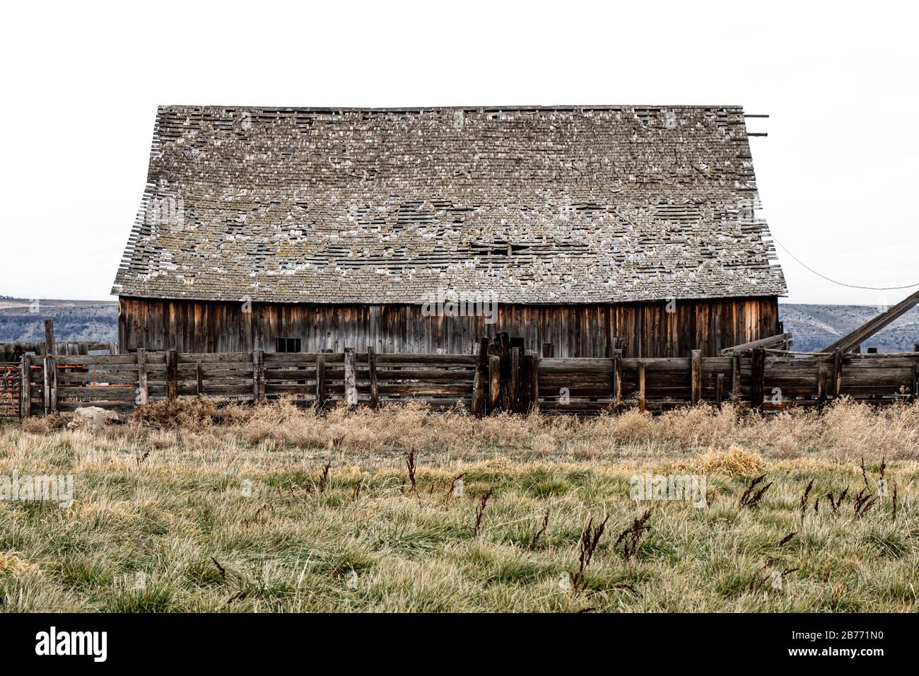 Un vecchio fienile nel mezzo dei campi di grano vicino a Pullman, WA Foto Stock
