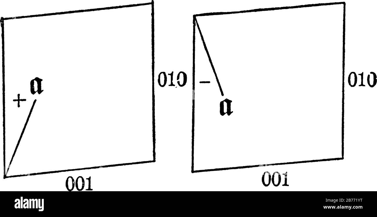 Le sezioni trasversali, ad angolo retto, sia (001) che (010), che presentano (+) e (-) carattere di estinzione in feldspars di plagioclasi, con parti etichettate, Illustrazione Vettoriale