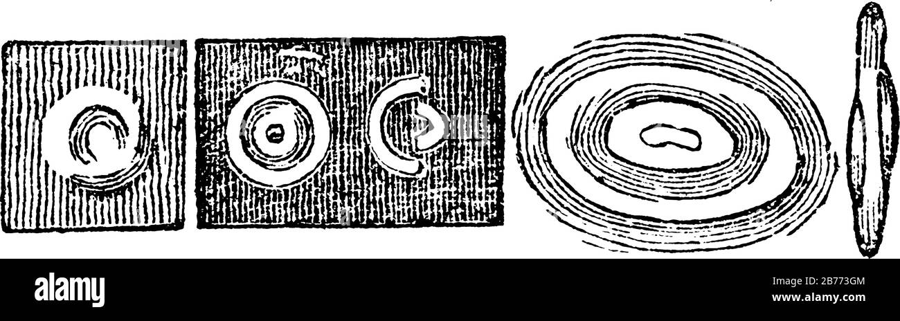 Una particella di sangue umano come appare quando trasparente e fluttuante; 2. La stessa, vista come illuminata; 3. La stessa, una metà illuminata; ed altra, Illustrazione Vettoriale