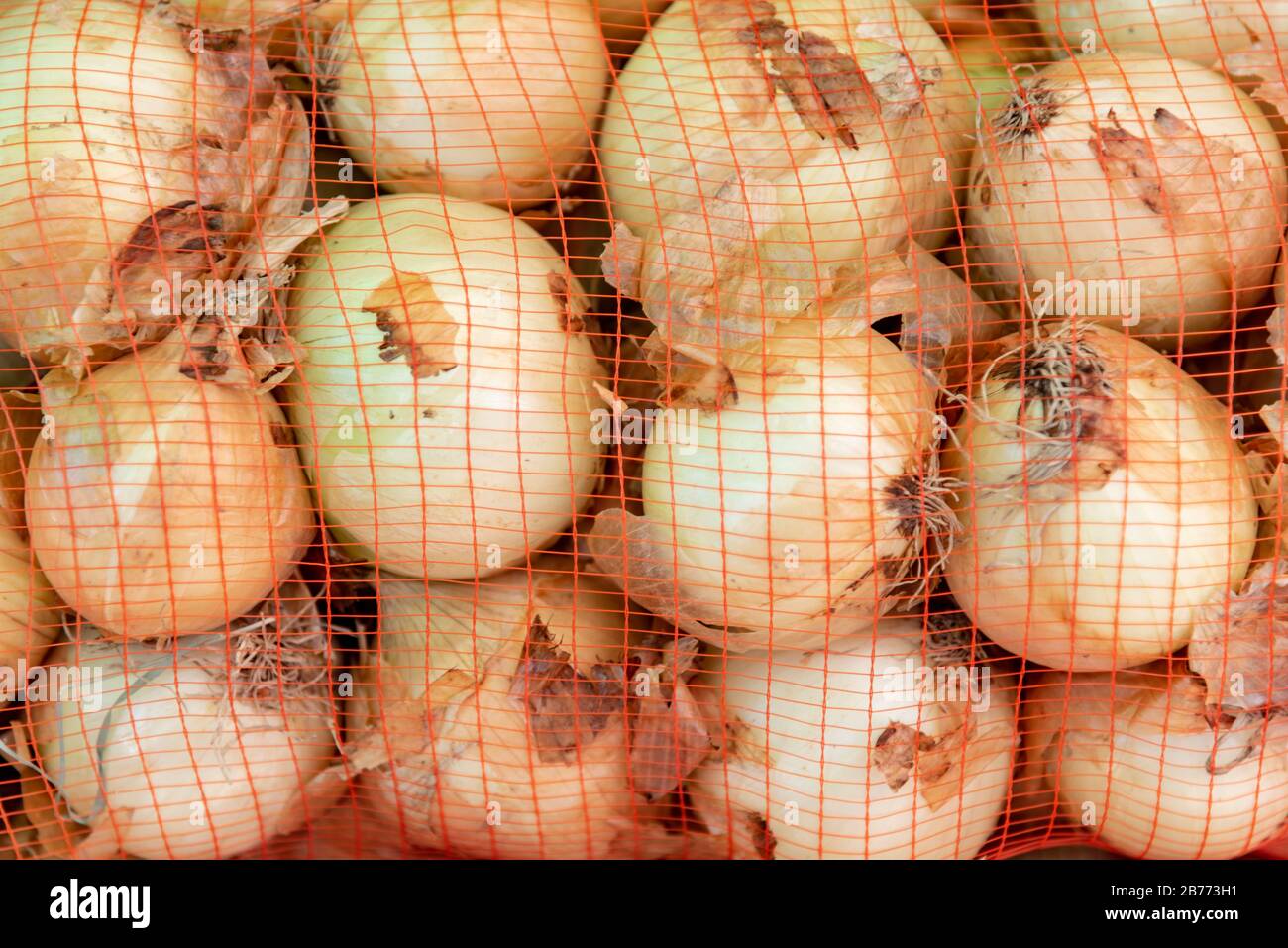 Cipolle all'interno di sacchi a rete in una giornata di sole pronto per essere consumato Foto Stock