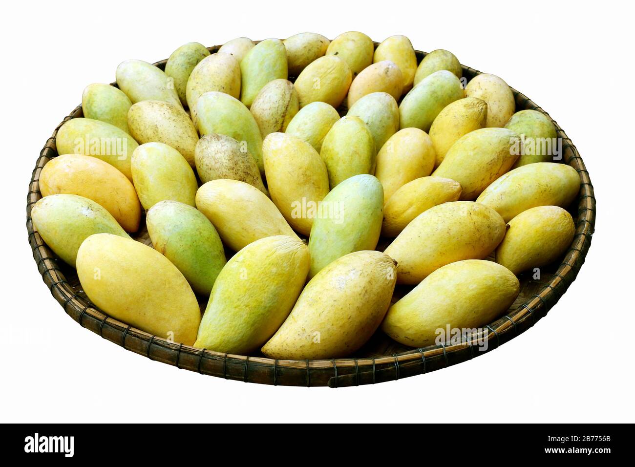 Mucchi di mango maturo oro giallo nel cesto di trebbiatura su sfondo bianco Foto Stock