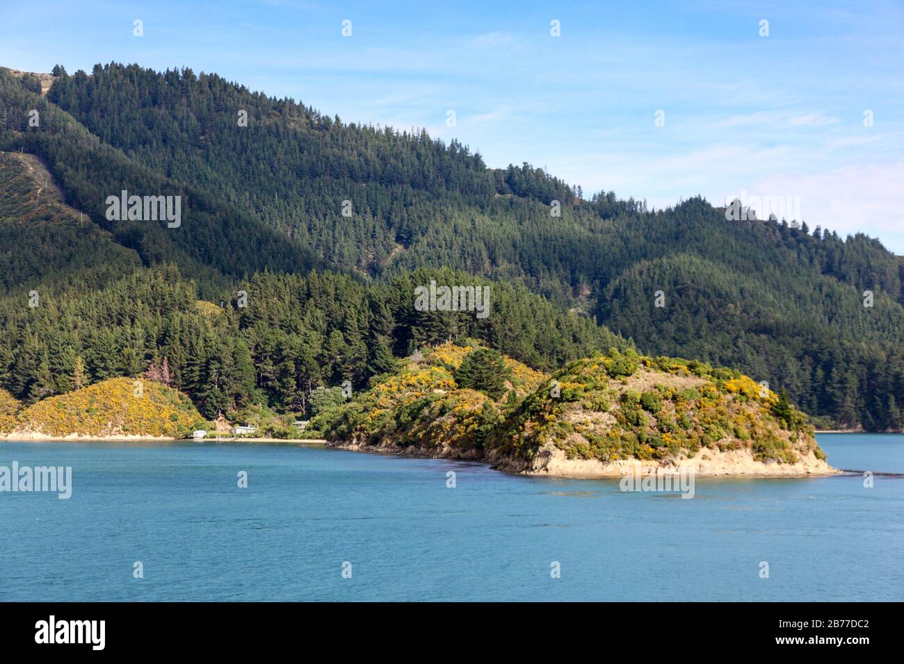 Vista della splendida costa del Marlorough Sounds vicino Picton sull'Isola del Sud della Nuova Zelanda. Questa vista e' dalla conn del traghetto interisolano Foto Stock
