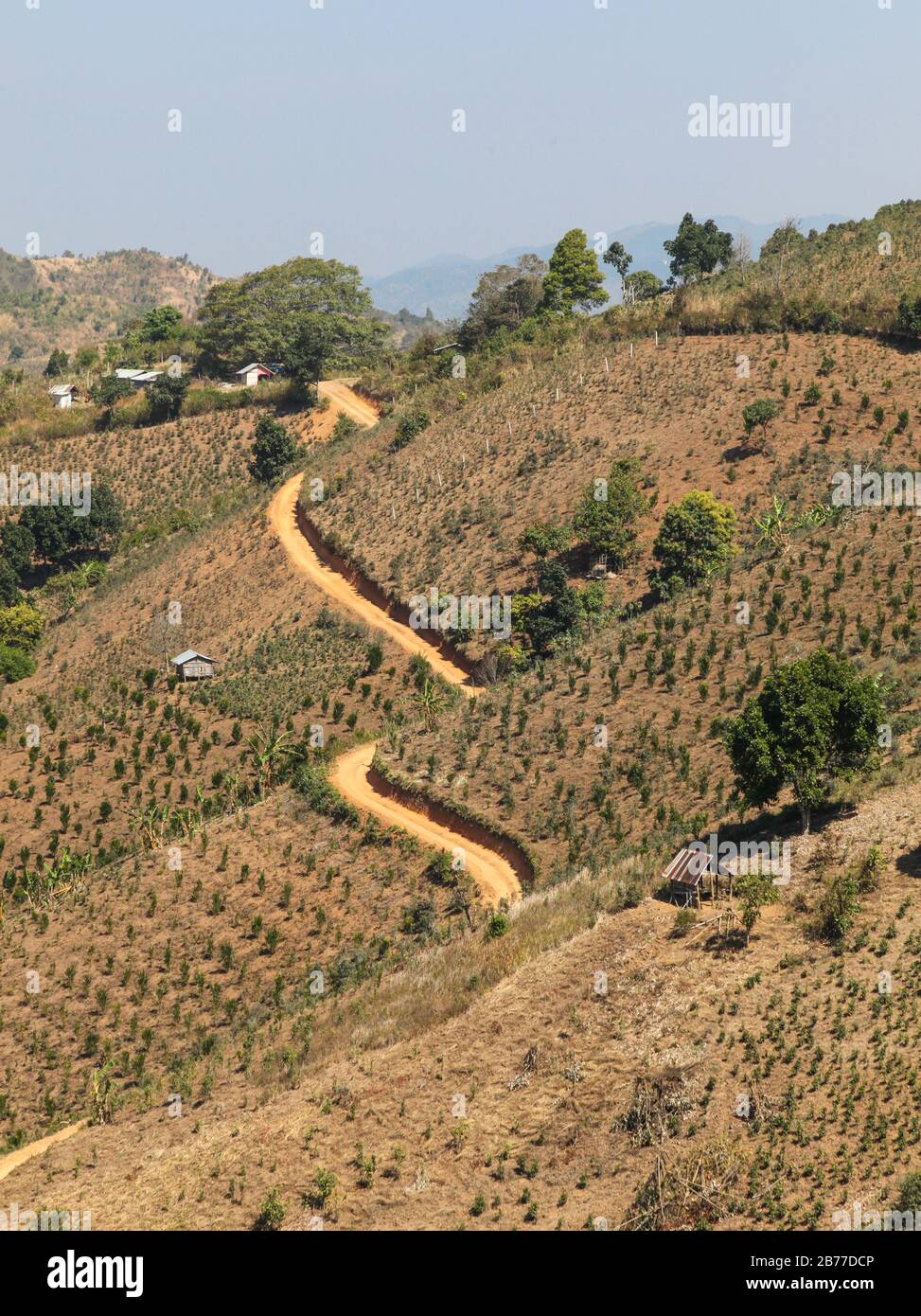 Terreno agricolo collinare vicino Kalaw in Myanmar (Birmania). Questa zona è famosa per il trekking con i turisti d'oltremare a piedi tra Kalaw e il lago Inle. Foto Stock