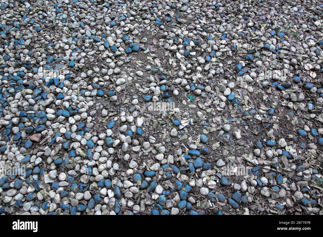 Ghiaia ciottoli di pietra bianco e nero sparsi su terra e terra Foto Stock