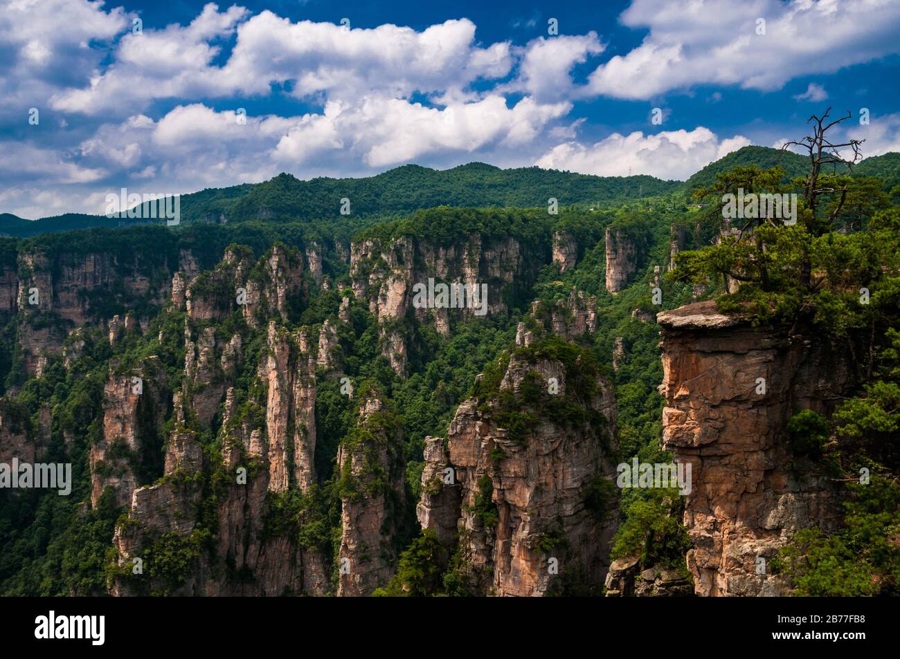 Vista da Tianzishan in Zhangjiajie National Forest Park. Nella provincia del Hunan, Cina. Foto Stock