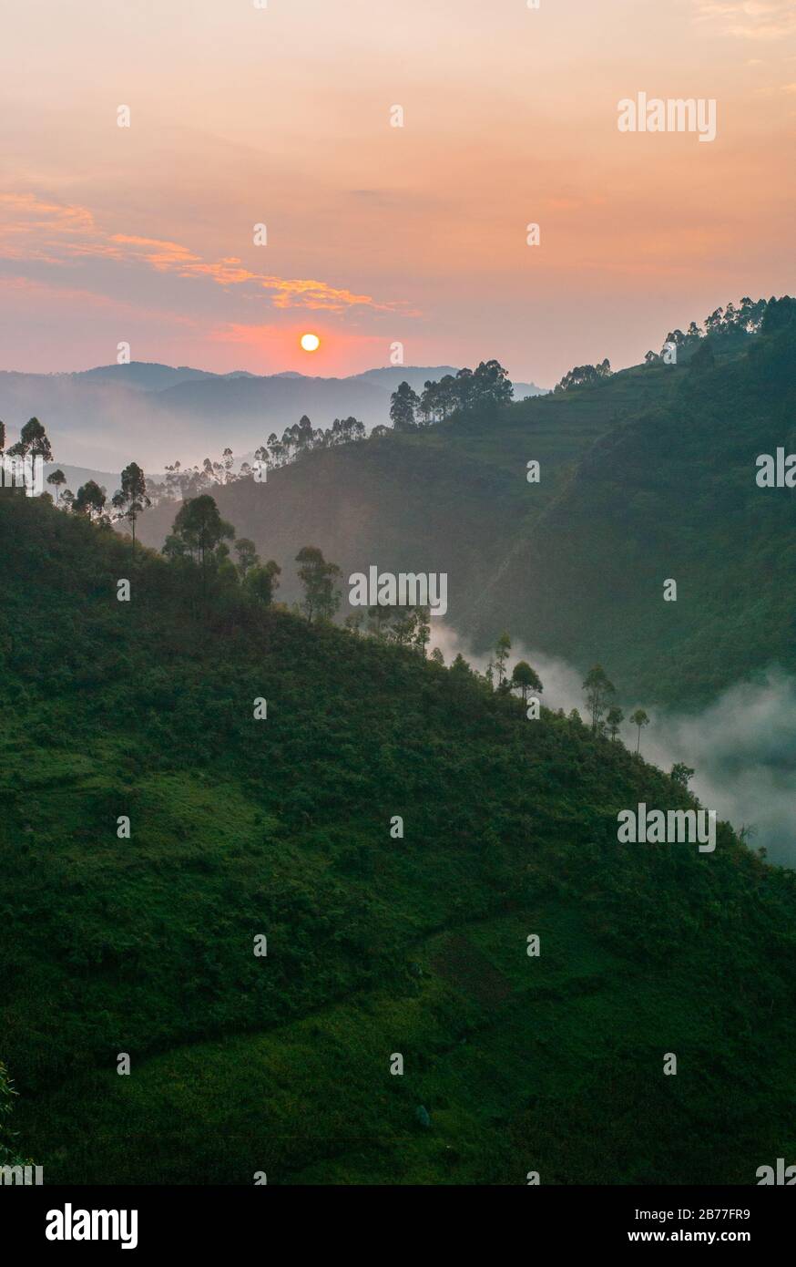 Alba Nel Parco Nazionale Della Foresta Di Bwindi Impenetrabile, Uganda. Paesaggio all'alba con nebbia o nebbia e foresta pluviale. Foto Stock