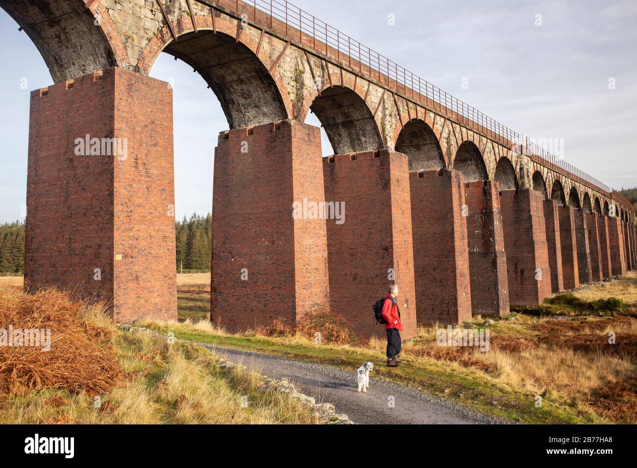 Passeggiate nella Cairnsmore della Riserva Naturale Nazionale della flotta lungo le Clint di Dromore, Galloway, Scozia, Regno Unito Foto Stock