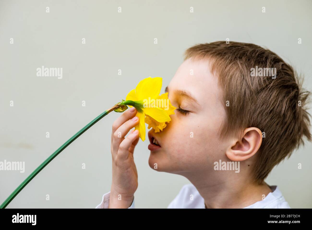 Concetto primavera con bel ragazzo e narciso giallo fiore in un giardino Foto Stock