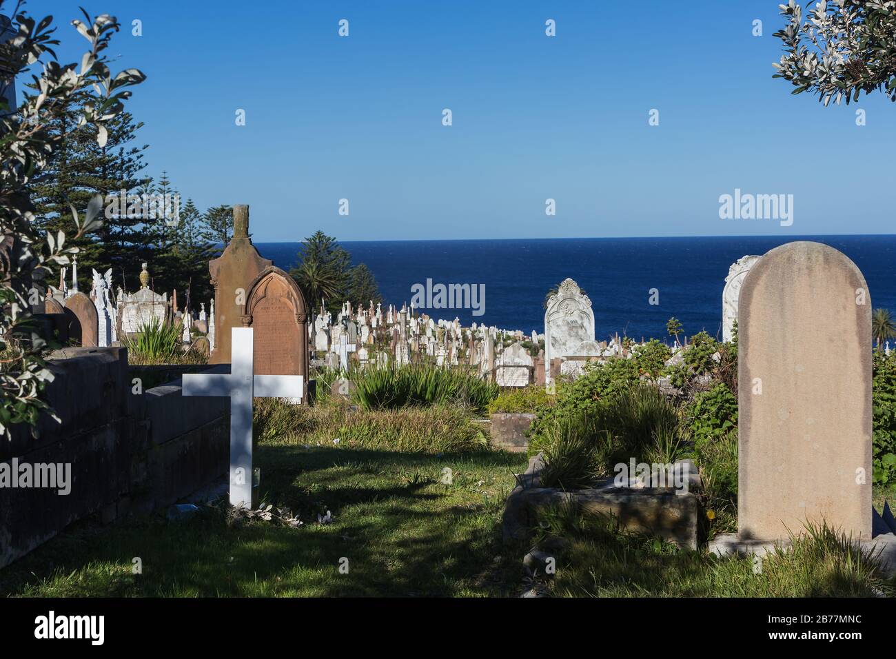 Il Waverley Cemetry è una cimetria patrimonio-patrimonio in cima alle scogliere a Bronte nella periferia orientale di Sydney, NSW, Australia. La passeggiata costiera wa Foto Stock