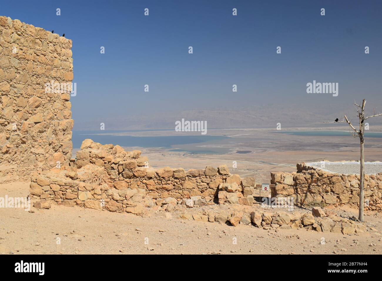 Masada si affaccia sul Mar Morto Foto Stock