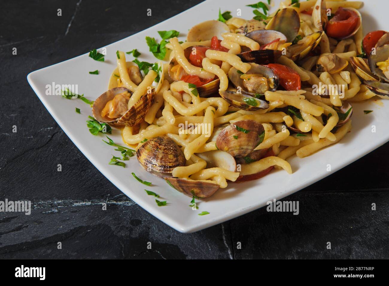 Pasta locale italiana fatta a mano (strozzapreti) con frutti di mare e pomodori - shot studio orizzontale Foto Stock