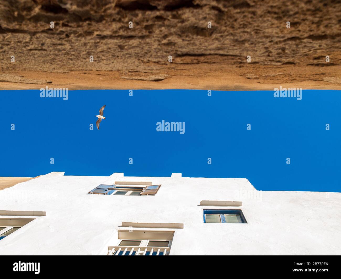 Cielo blu e gabbiani che sorvolano i vicoli di Essaouira, Marocco Foto Stock
