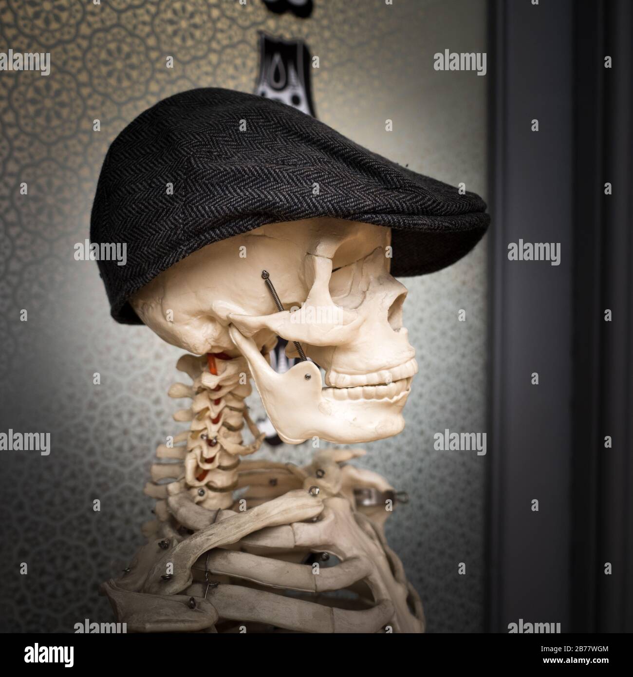 Scheletro in un cappuccio piatto, scheletro medico Foto Stock