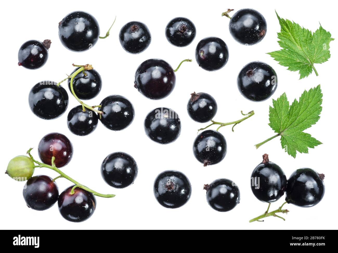 Molta bacche di ribes nero su sfondo bianco. Macro. Foto Stock