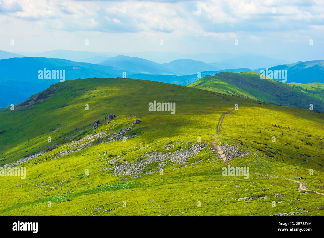 percorso attraverso la catena montuosa. bei prati alpini del paesaggio carpaziano in una giornata torbida d'estate. divisione cresta dello spartiacque Foto Stock