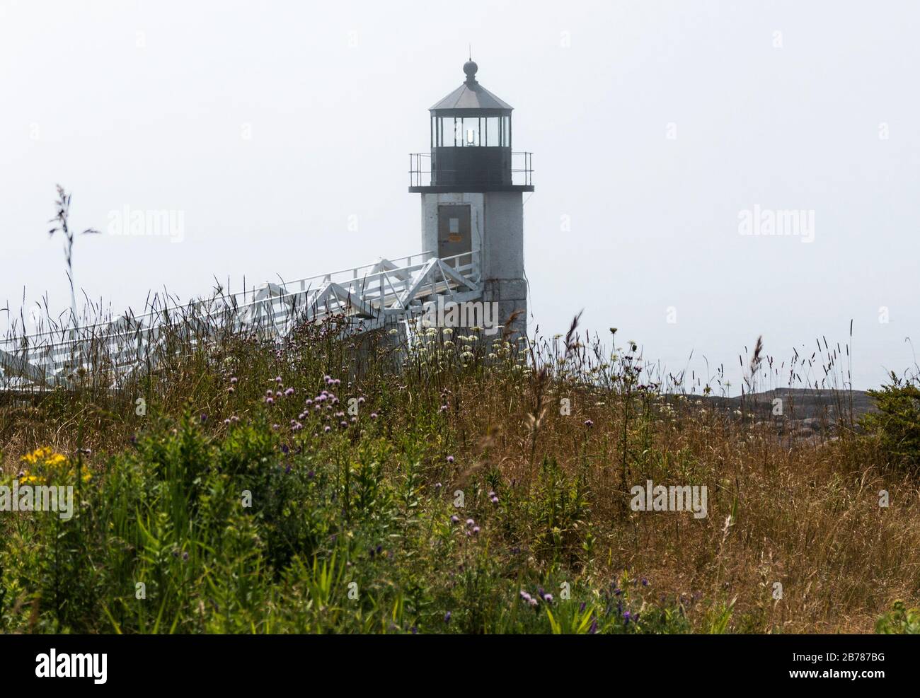 Il faro di Marshall Point nel Maine con nebbia sull'acqua e erba alta, piante e falciatrici in vista come la nebbia brucia, nel primo pomeriggio Foto Stock