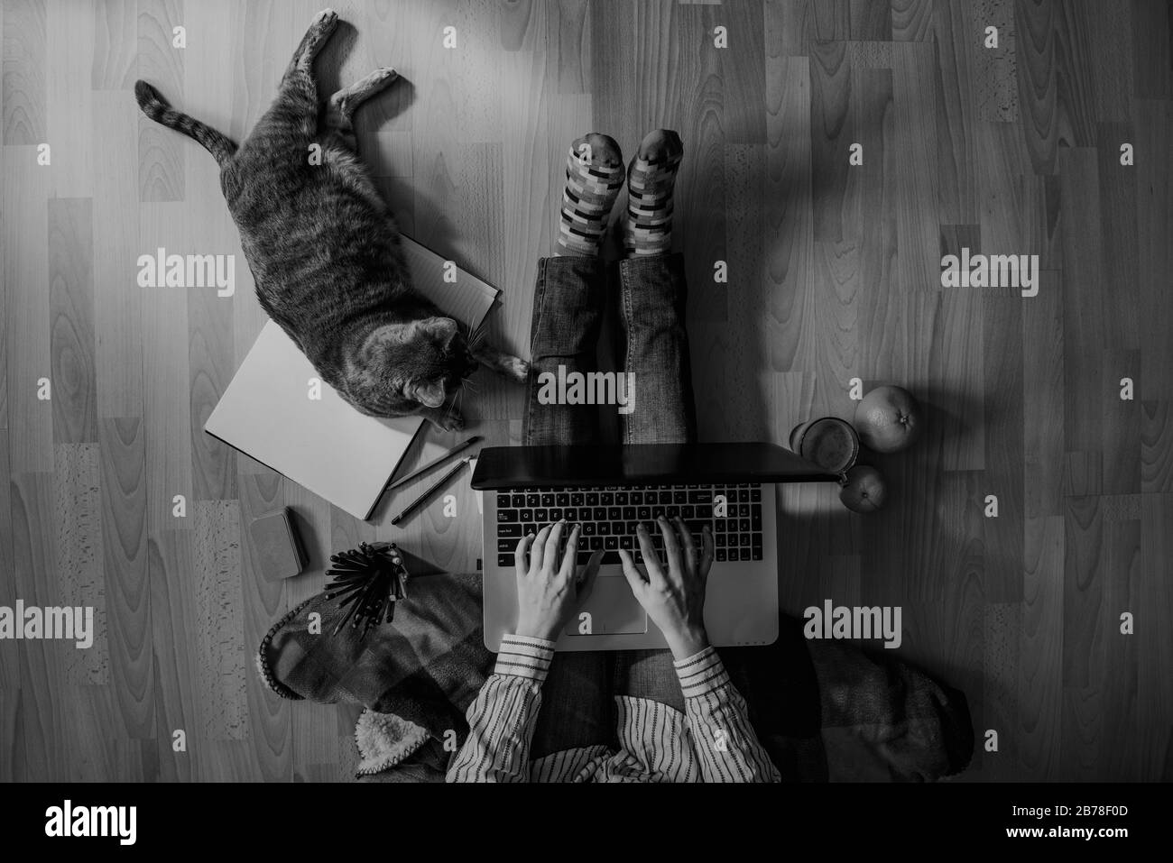 spazio di lavoro domestico creativo - concetto del lavoro dalla sede - ragazza con il gatto Foto Stock