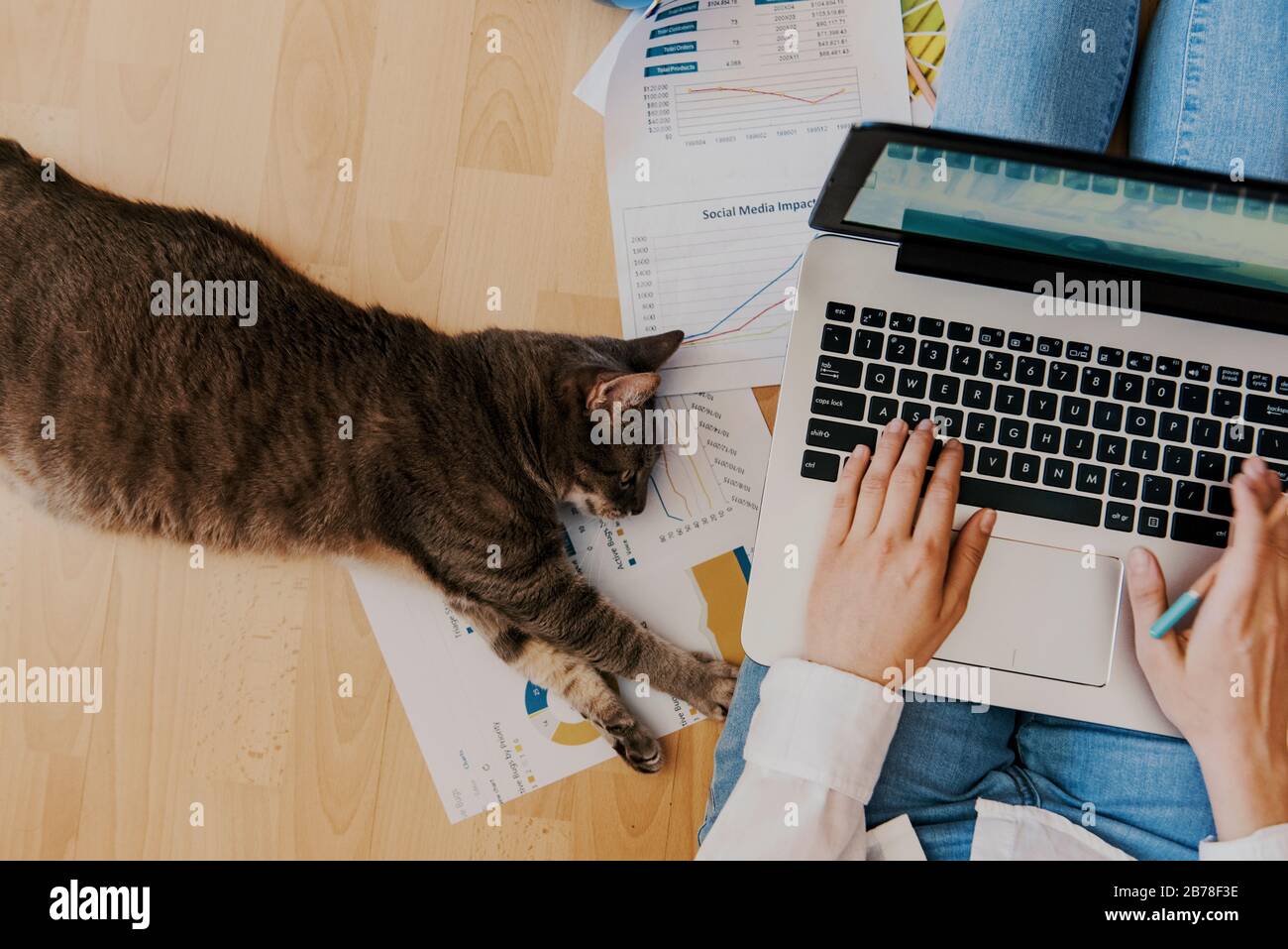 spazio di lavoro domestico creativo - concetto del lavoro dalla sede - ragazza con il gatto Foto Stock