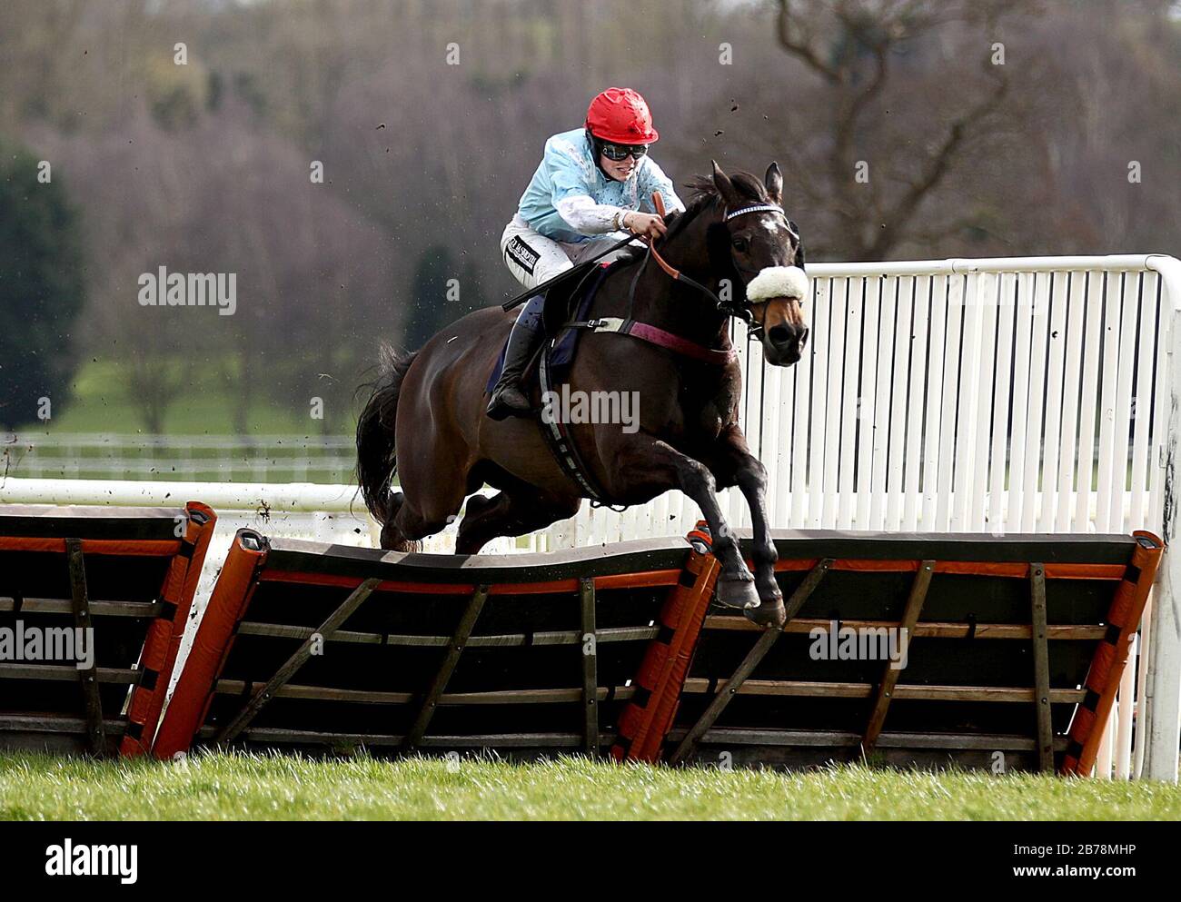 Solstice Star indovinata dalla signorina Lilly Pinchin schiarisce l'ultimo a vincere La Birreria di Marston Lady Riders' Handicap Hurdle all'Uttoxeter Racecourse. Foto Stock