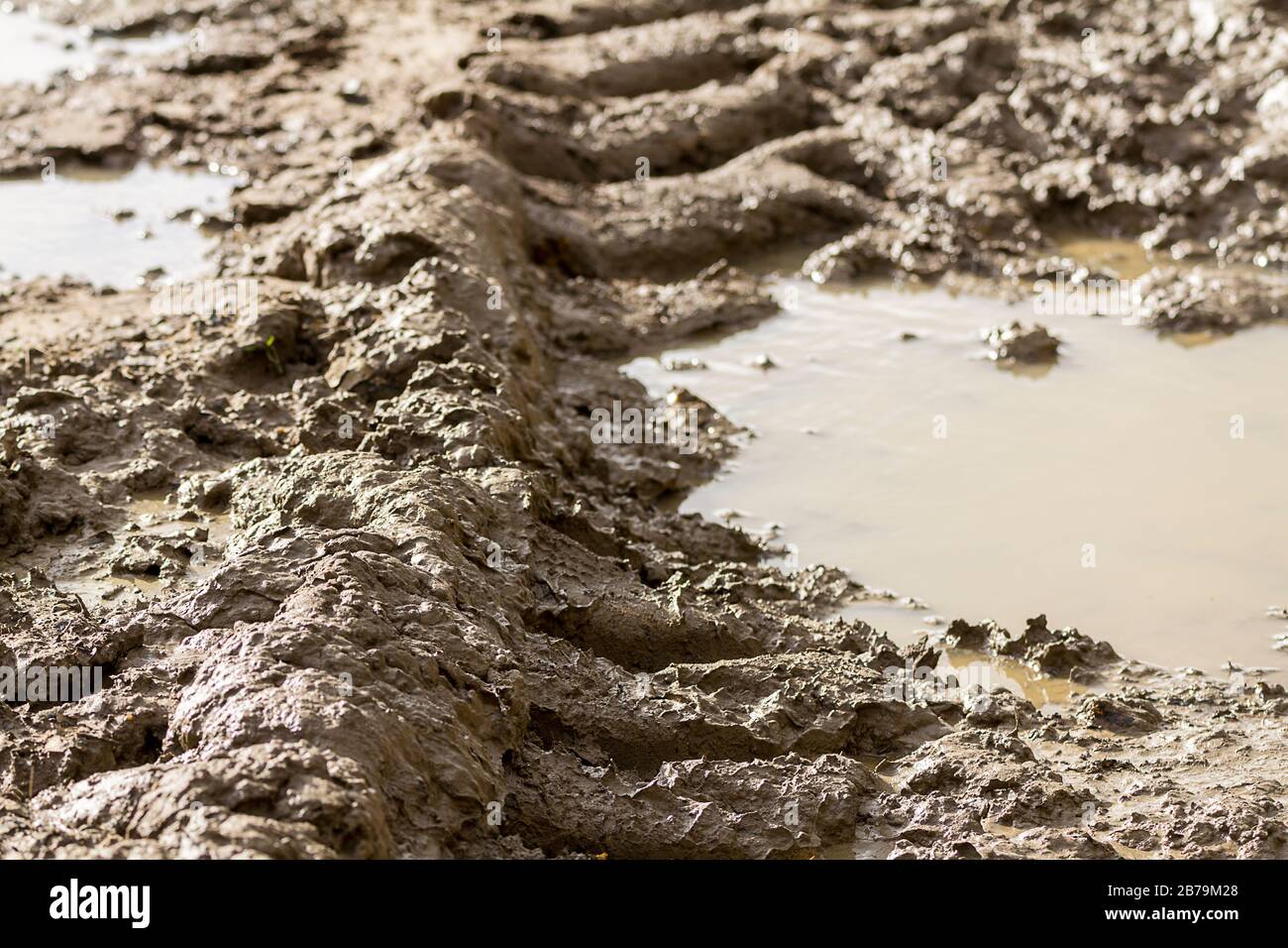 Terreno fangoso bagnato allagato in un campo riserva naturale mentre il tempo bagnato si immerce terra. Lo schema del battistrada degli pneumatici del trattore stampa l'impressione nel fango con pozzanghere. Foto Stock