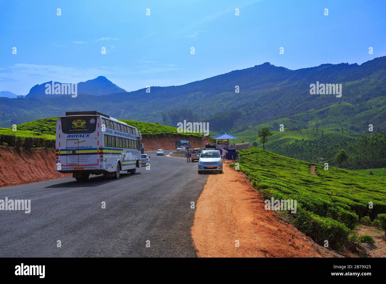 Strada tortuosa lungo le splendide piantagioni di tè nelle colline di Munnar (Kerala, India) Foto Stock