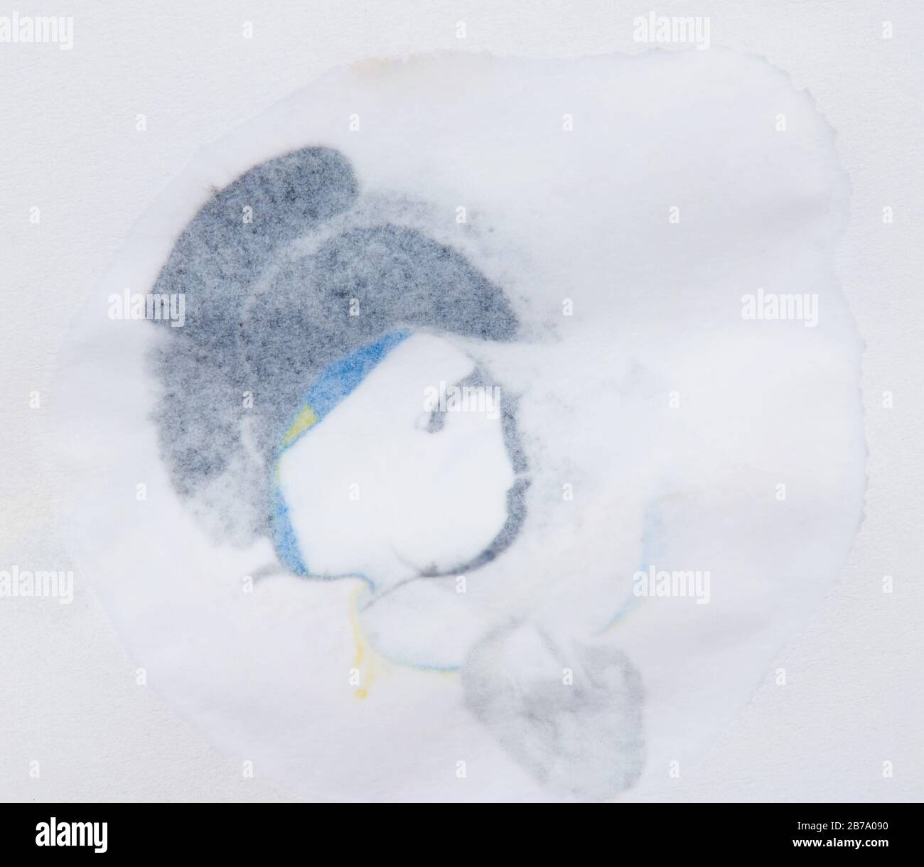 Macchie di inchiostro nero sulla vista posteriore della carta bianca Foto Stock