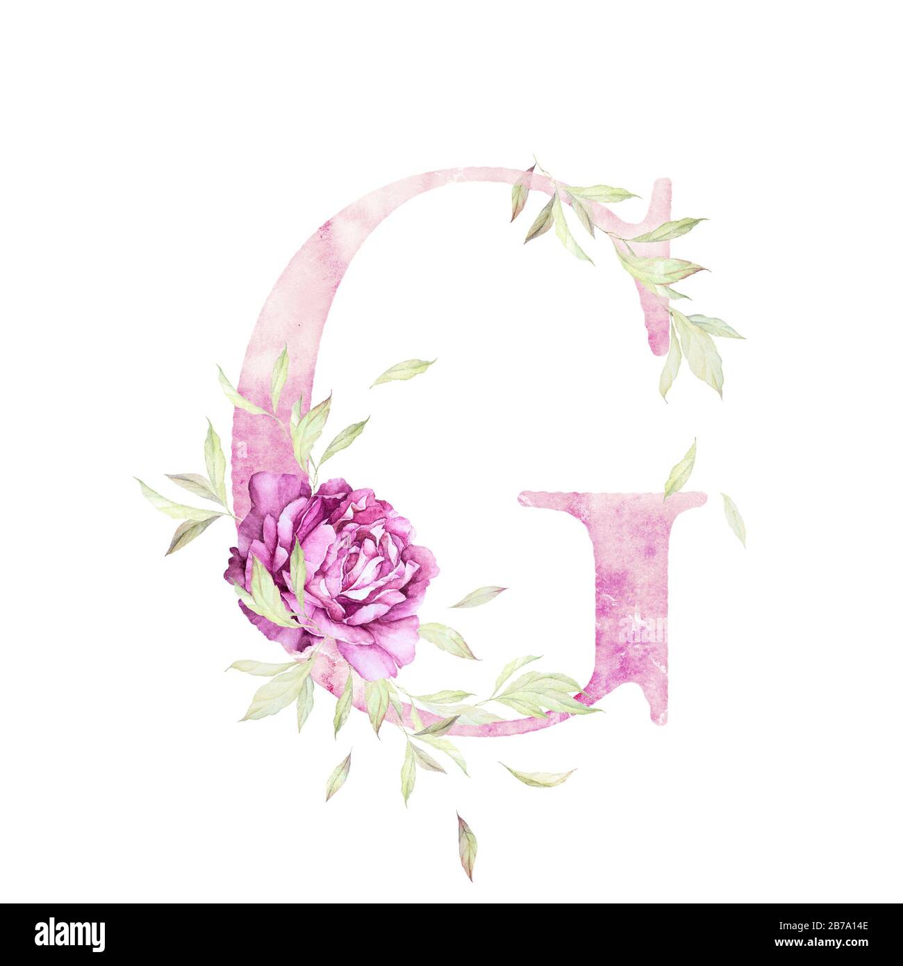 Lettera grande G. Alphabet. Rosa chiaro. Decorazioni floreali. Acquerello.  Sfondo bianco. Qualità di stampa Foto stock - Alamy