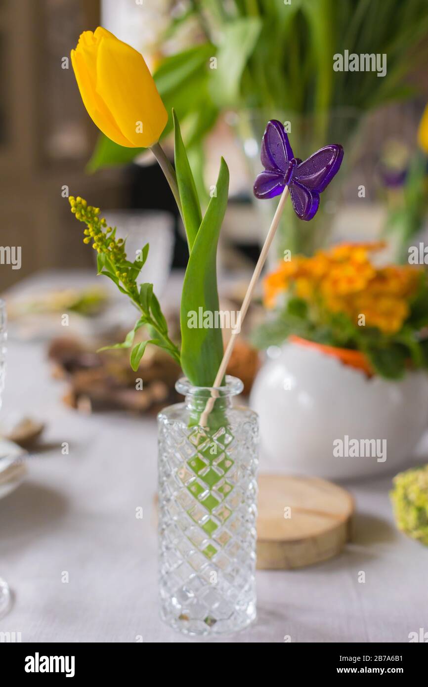 Composizione primaverile con tulipani freschi gialli e caramelle a forma di farfalla viola in vasi di vetro sul davanzale, 8 marzo, Pasqua, Madre e Wome Foto Stock