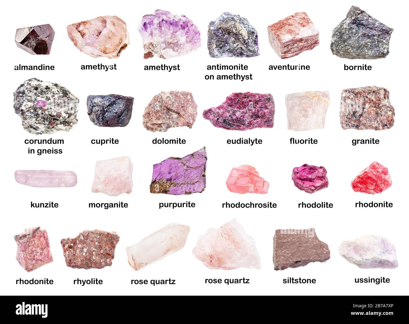 set di varie pietre rosa non lucidate con nomi (purpurite, eudialite, corindone, dolomite, ussingite, siltstone, cuprite, ametista, morganite, rhodon Foto Stock