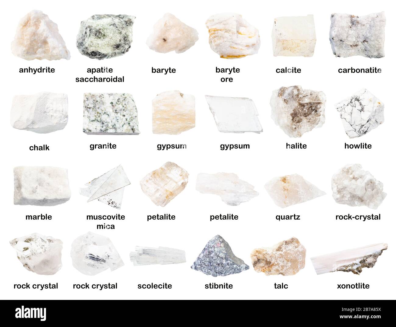 set di varie pietre bianche non lucidate con nomi (granito, gesso, petalite, barite, hullite, cristallo di roccia, marmo, carbonatite, gesso, anidrite, Foto Stock