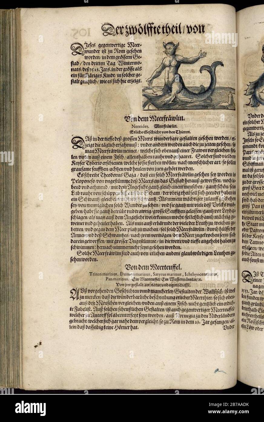 Gesner - Fischbuch - S. 105 r. Foto Stock