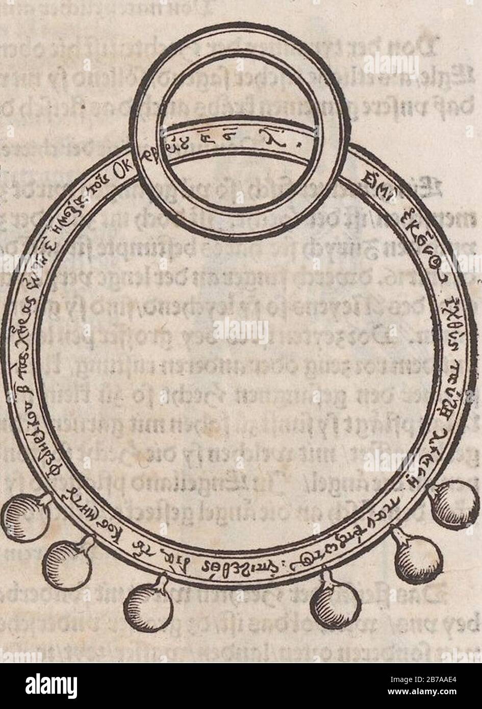 Gesner - Fischbuch - Bund mit Griechischer Inschrift. Foto Stock