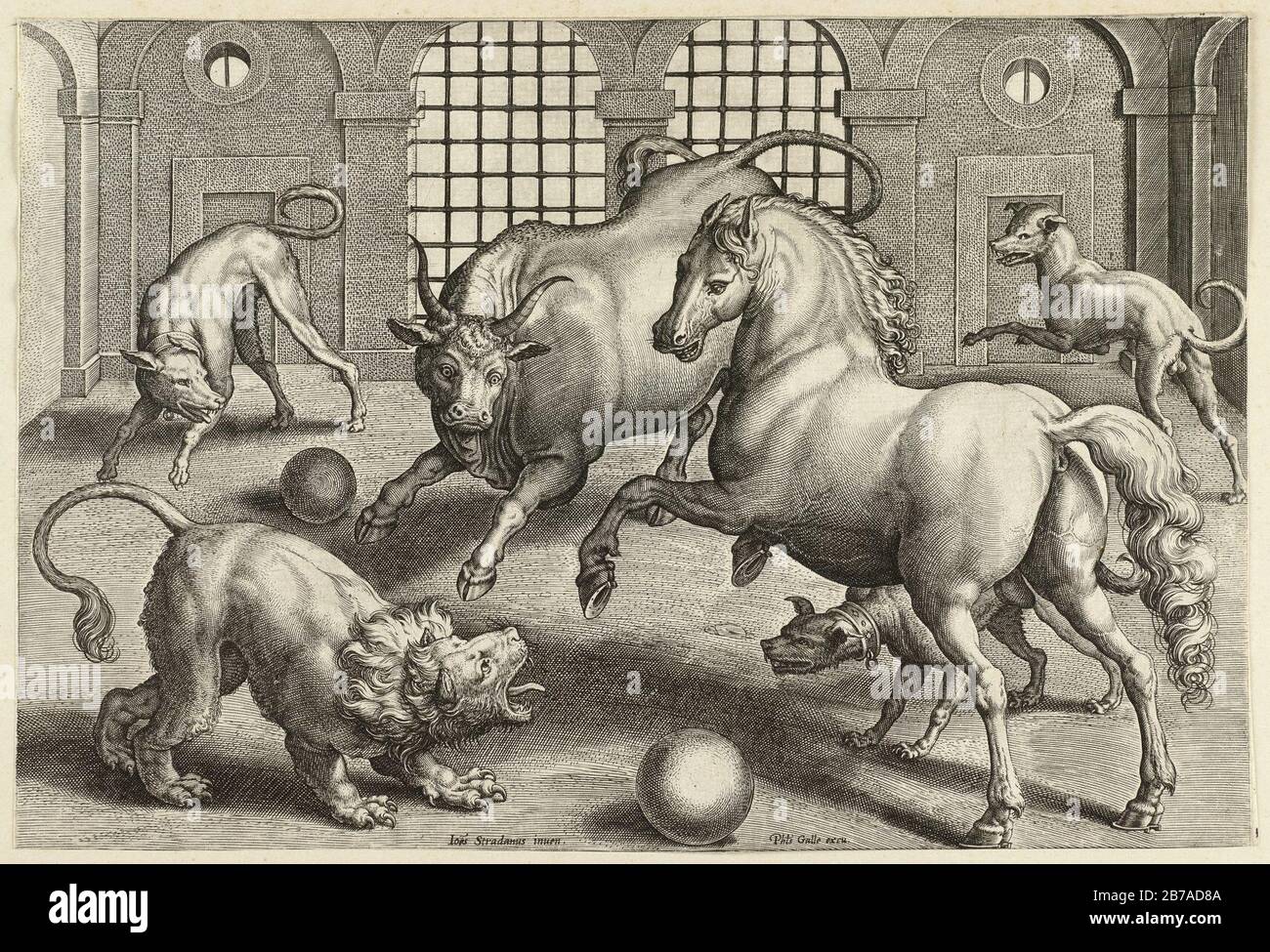 Gevecht tussen een leeuw, Paard, stier en hond. Foto Stock