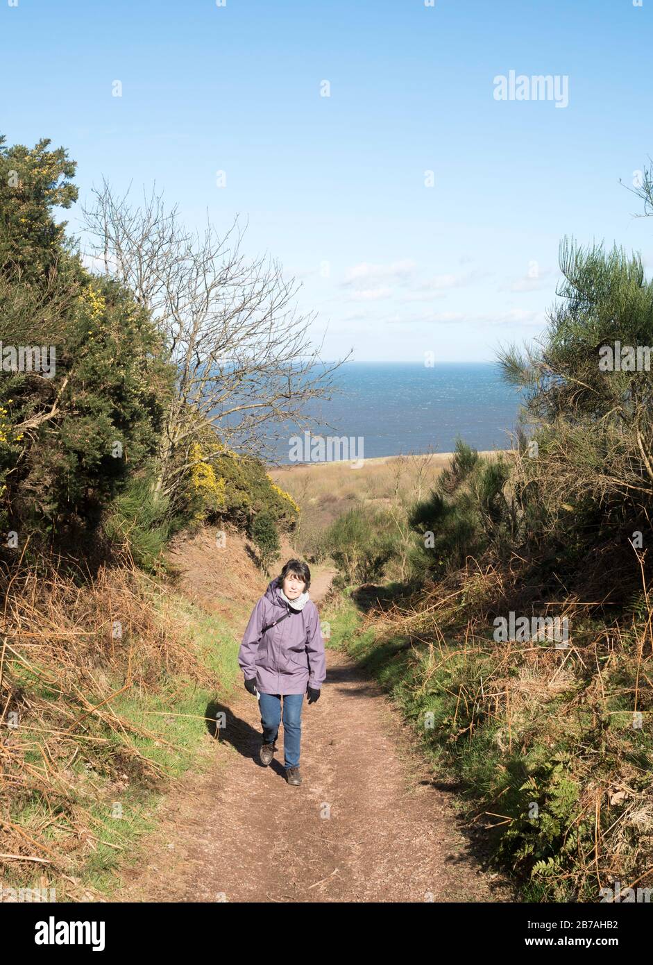 Donna matura che cammina Lungo la via Cleveland a Ravenscar nel North Yorkshire, Inghilterra, Regno Unito Foto Stock
