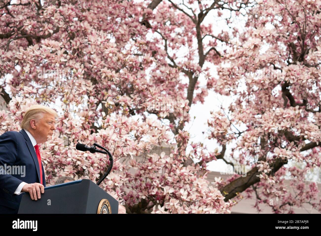 Washington, Stati Uniti D'America. 13 Marzo 2020. Washington, Stati Uniti D'America. 13 Marzo 2020. Il presidente degli Stati Uniti Donald Trump annuncia un’emergenza nazionale per combattere l’epidemia di coronavirus nel Rose Garden della Casa Bianca il 13 marzo 2020 a Washington, DC. Credit: D.Myles Cullen/Casa Bianca Foto/Alamy Live News Foto Stock