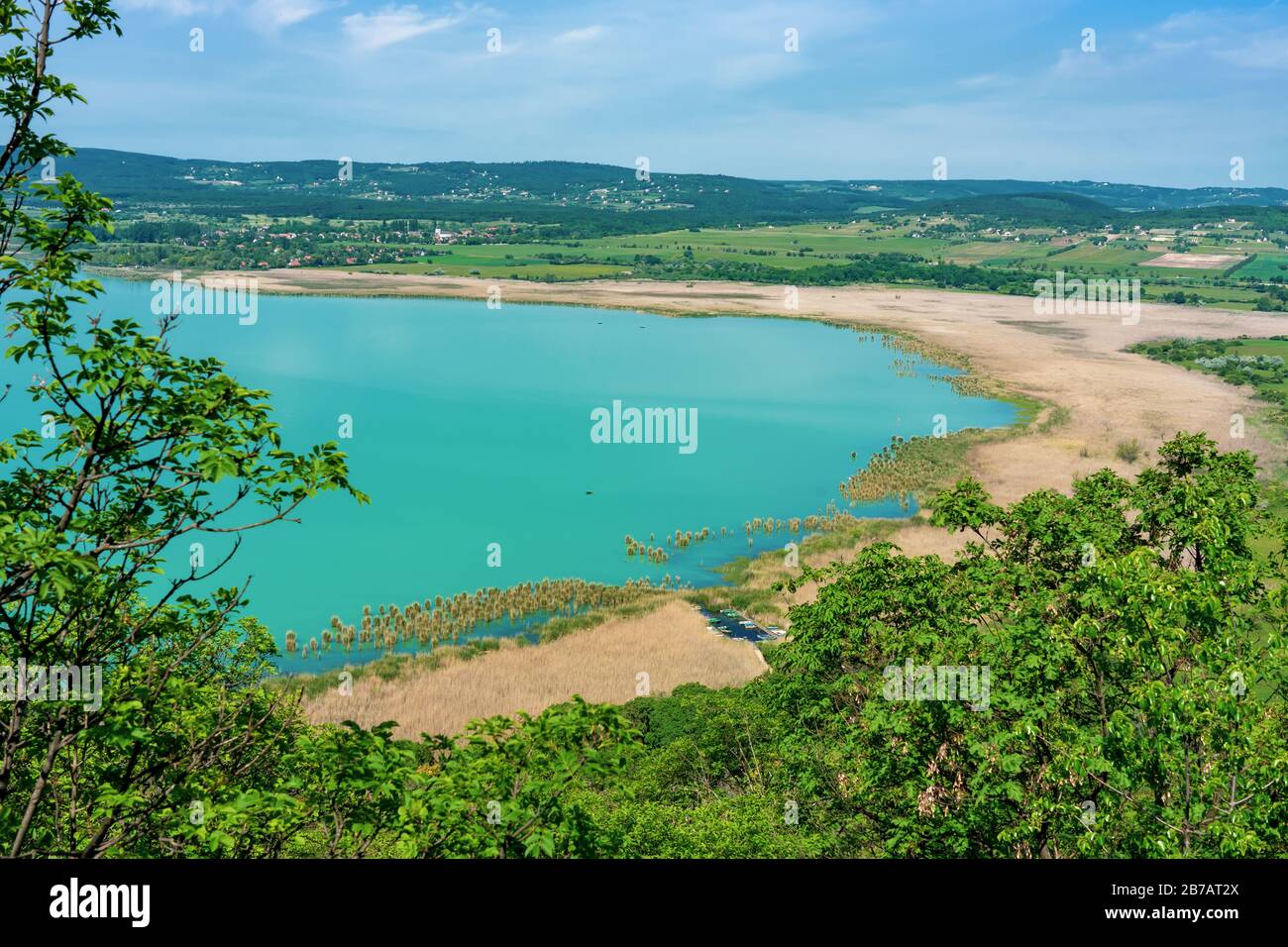 Arial vista panoramica del lago Balaton paesaggio ungherese con letto a canna Foto Stock