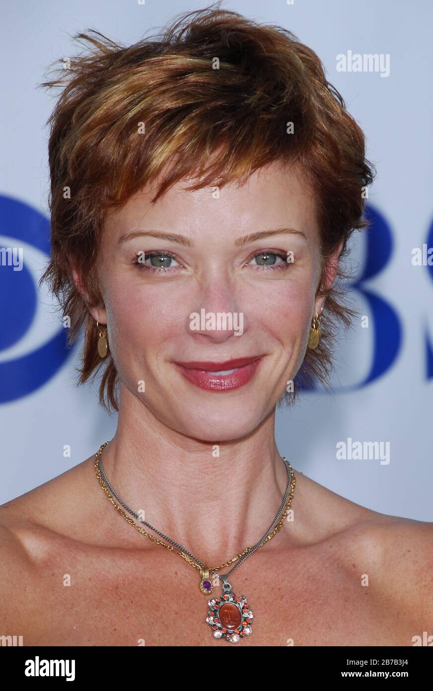 Lauren Holly al CBS 2006 TCA Summer Press Tour Stars Party tenuto al Rose Bowl di Pasadena, CA. L'evento si è svolto sabato 15 luglio 2006. Foto di: SBM / PictureLux Foto Stock