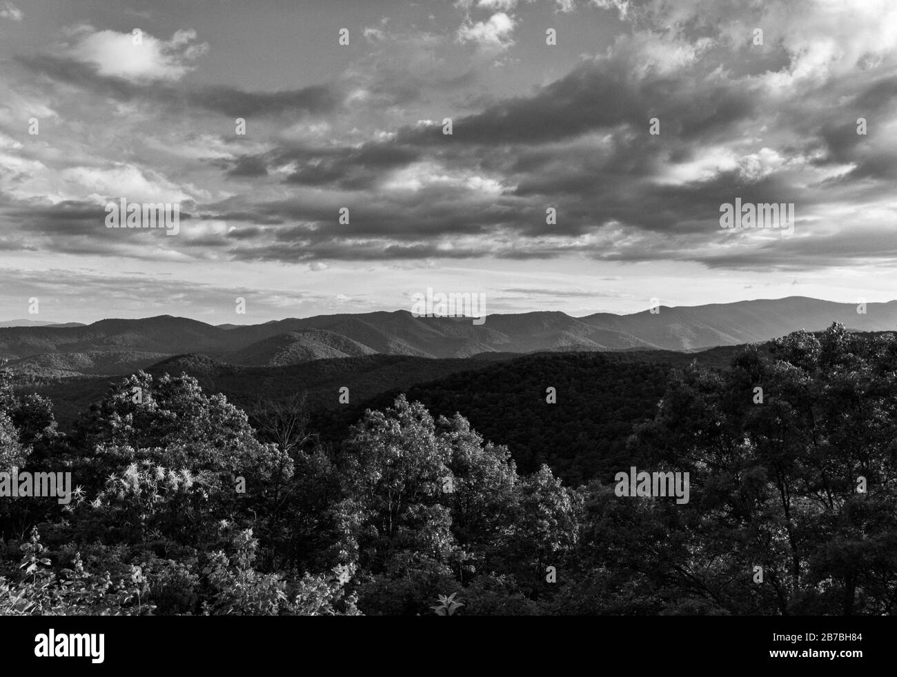 Il fogliame include un albero di castagno americano (Castanea dentata), funzionalmente estinto, sulla Blue Ridge Parkway vicino ad Asheville, NC, Stati Uniti Foto Stock