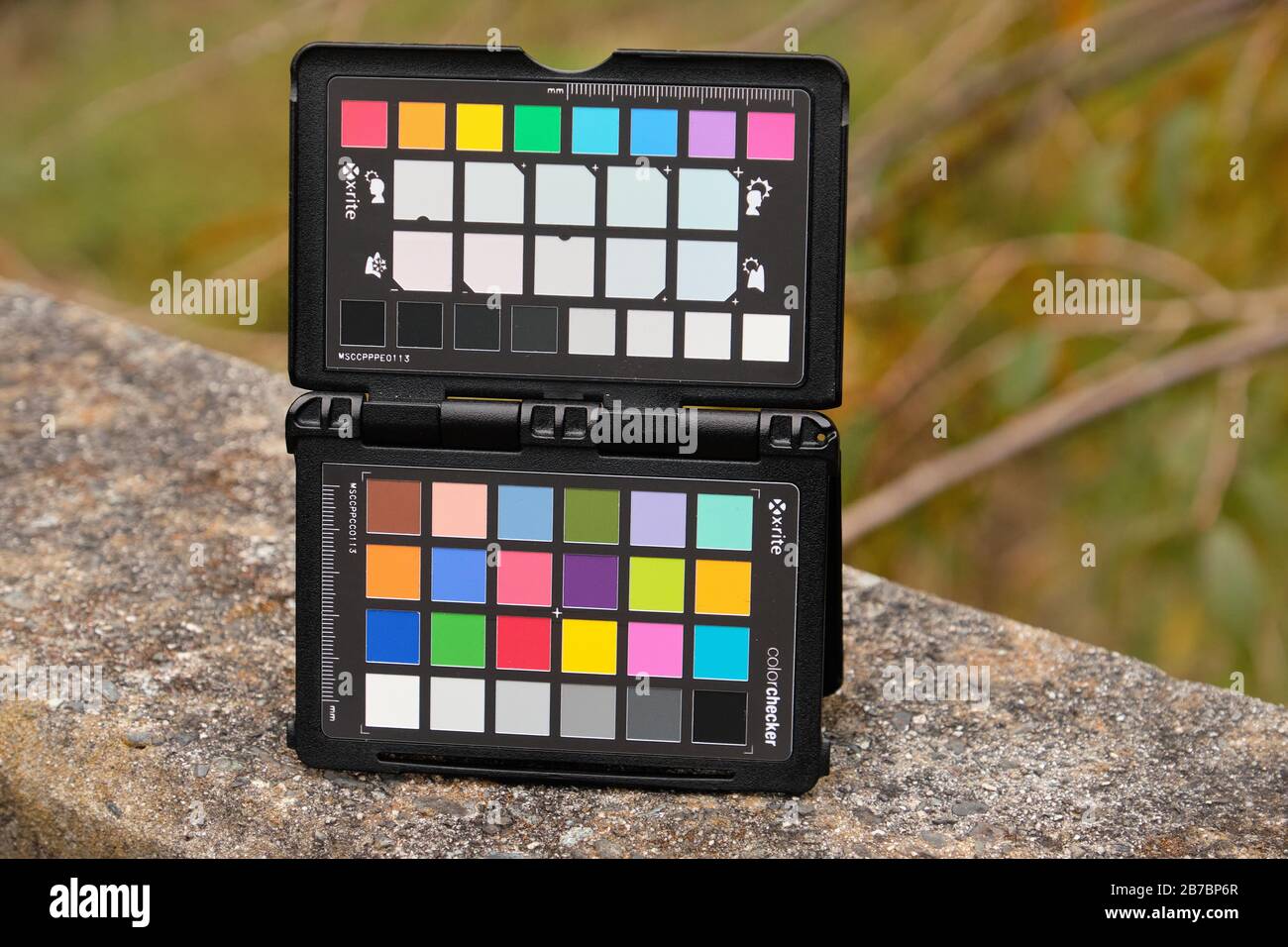 Passaporto del colorchecker X-Rite posizionato sulla parete per il bilanciamento del bianco della fotocamera e la foto di calibrazione del colore Foto Stock