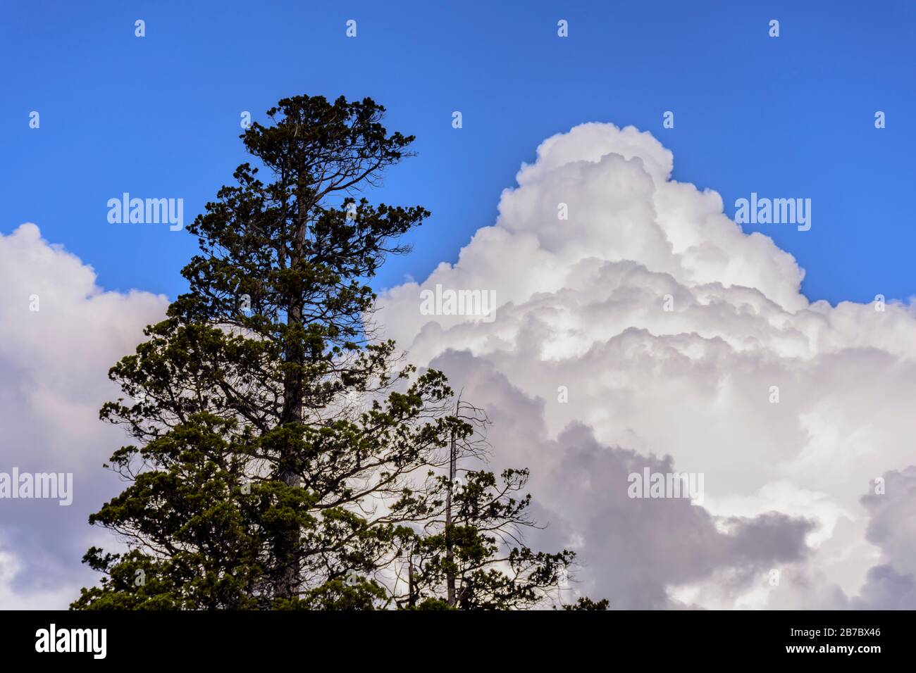 Cumulonimbus vista formazione nel cielo durante la stagione estiva in Patagonia, Argentina Foto Stock