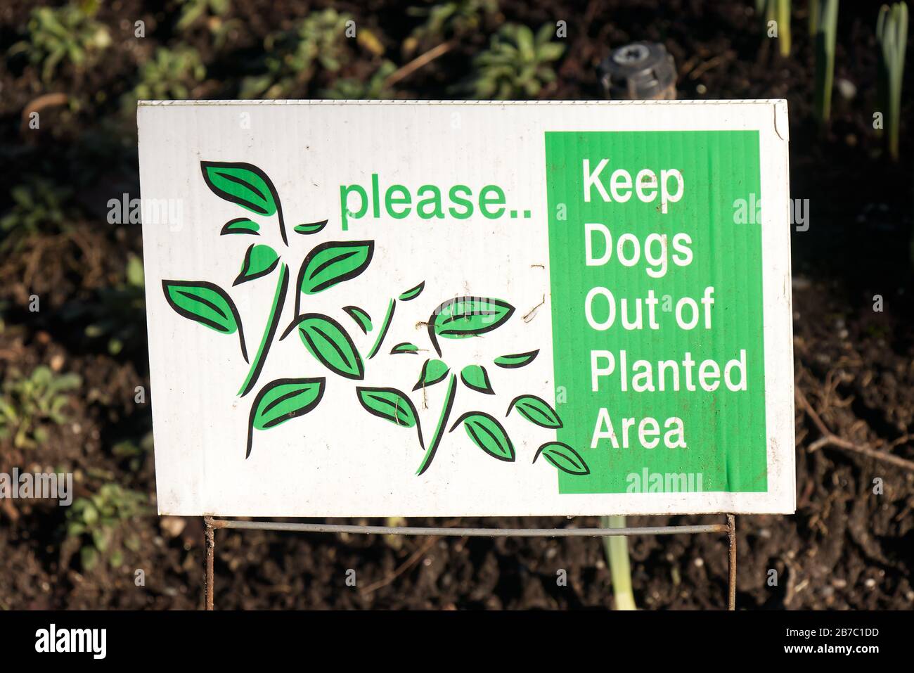 Vista del cartello bianco "Please, keep dogs out of planted Area" nel centro di Vancouver Foto Stock