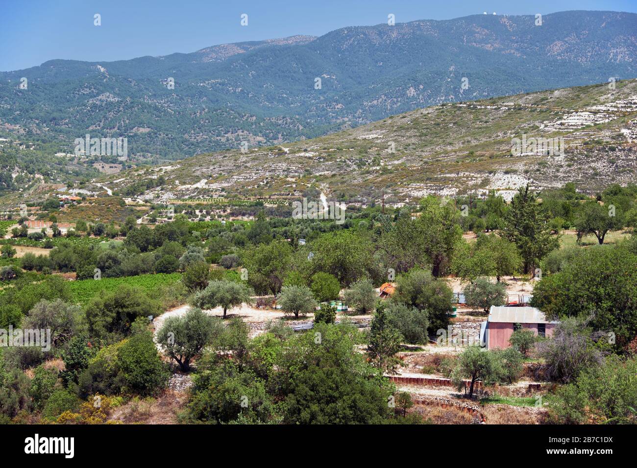 La campagna ai piedi del Monte Troodos - l'antica regione di coltivazione dell'uva. Limassol. Cipro Limassol. Cipro Foto Stock