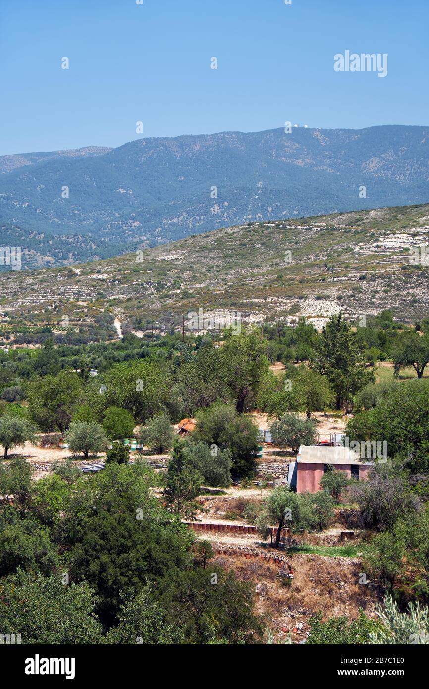 La campagna ai piedi del Monte Troodos - l'antica regione di coltivazione dell'uva. Limassol. Cipro Limassol. Cipro Foto Stock