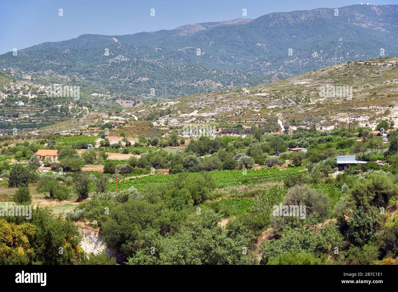 La campagna ai piedi del Monte Troodos - l'antica regione di coltivazione dell'uva. Limassol. Cipro Limassol. Cipro Foto Stock