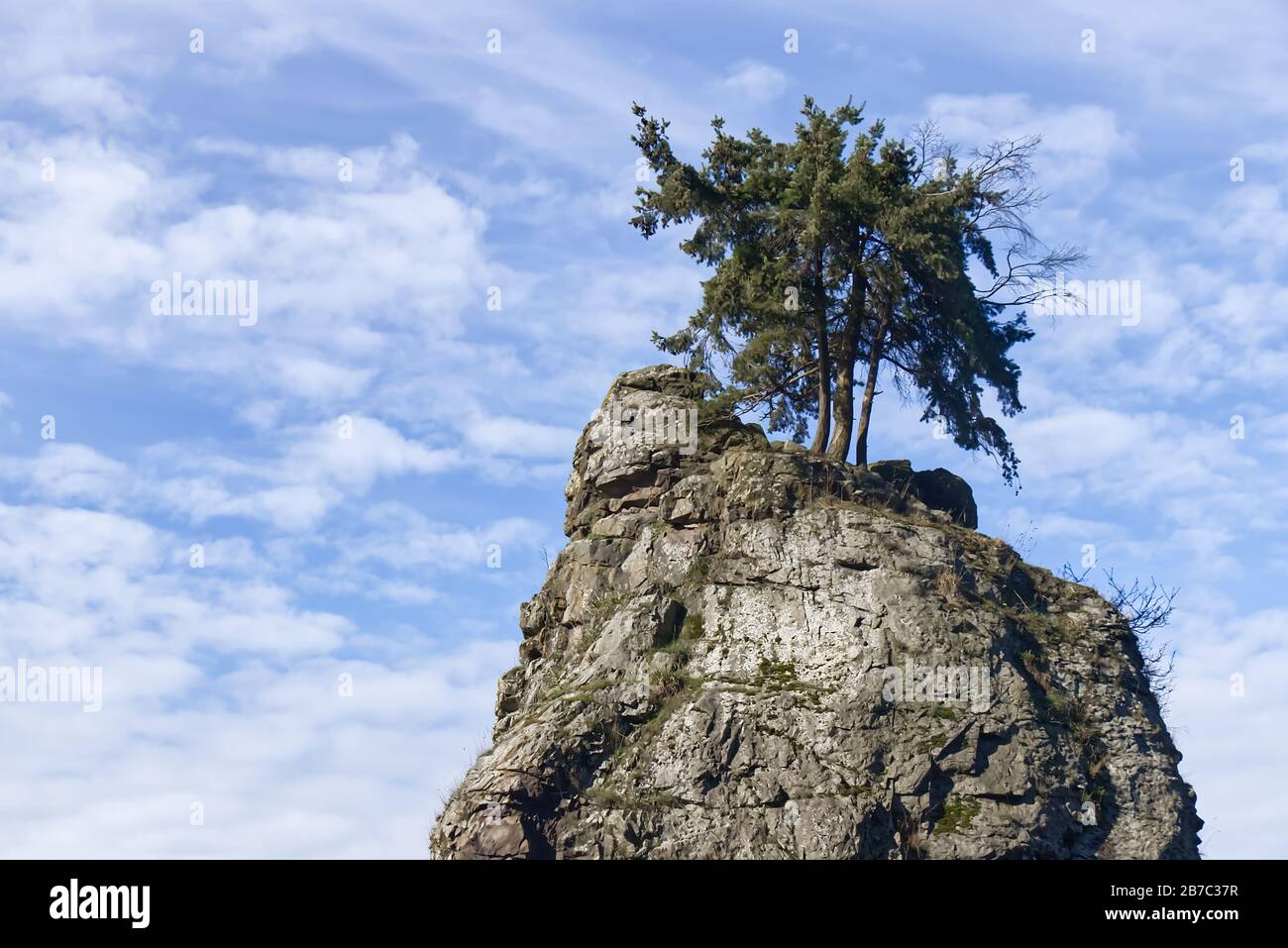 Primo piano Vista della splendida Siwash Rock nello Stanley Park con l'albero solitario in cima ad esso Foto Stock